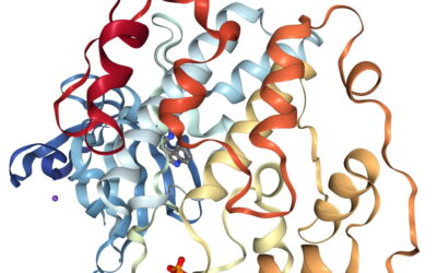 Encontradas moléculas marinhas com potencial terapêutico na doença de Alzheimer