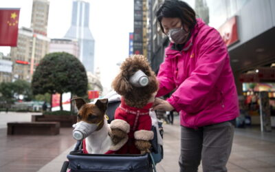 Cerca de 65 milhões de doses de vacina administradas na China
