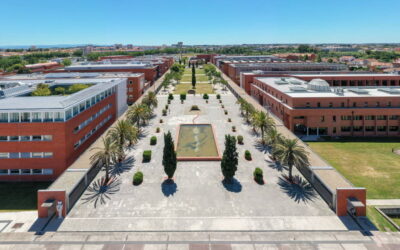 Tecnologia de microtecidos 3D vence Prémio Bluepharma / Universidade de Coimbra