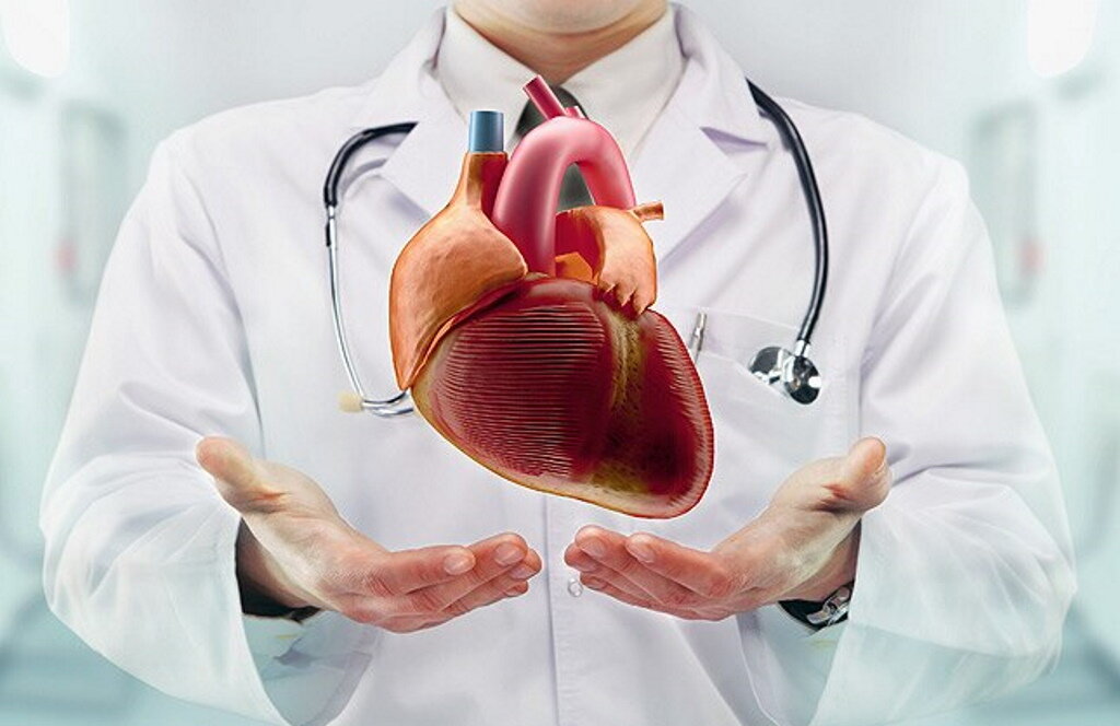 Programa de formação promove conhecimento na área da Cardiologia