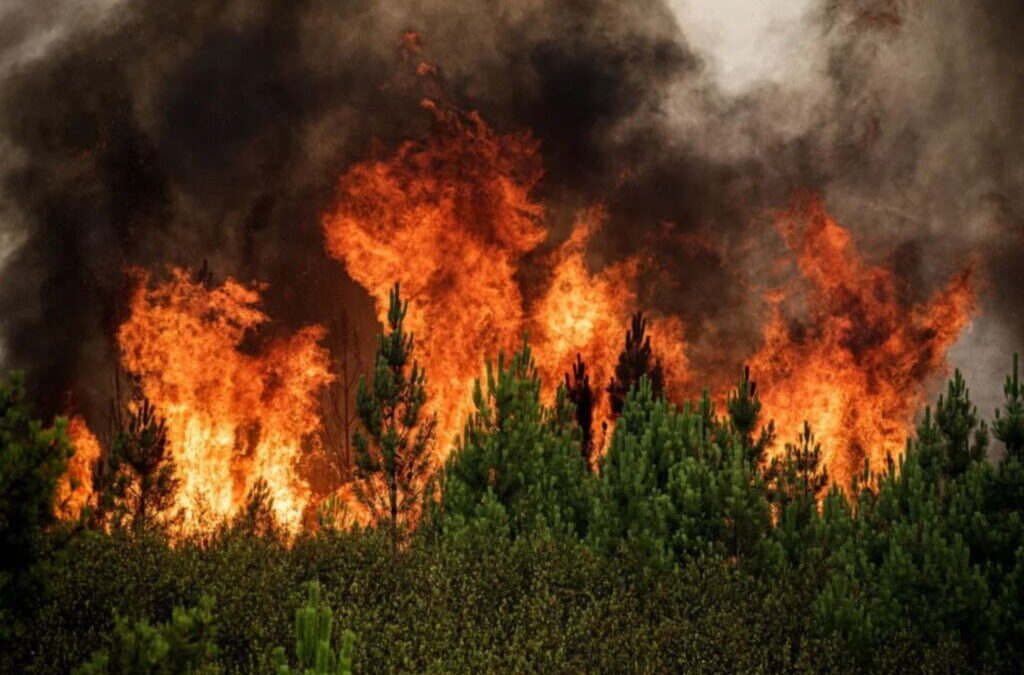 Mais de 170 operacionais e 10 meios aéreos combatem fogo em Vila de Rei