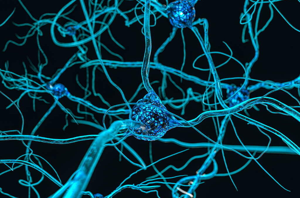 Investigadores identificam local nos neurónios que causa a dor neuropática
