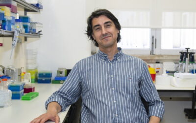 Nanopartícula contra o cancro criada em Coimbra obtém estatuto de ‘medicamento órfão’
