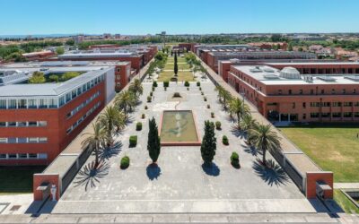 Governo aprova criação de Centro Académico Clínico em Aveiro