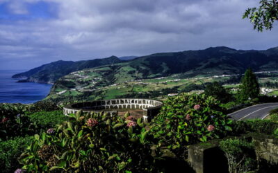 Açores com 1.404 casos e 378 recuperações nas últimas 24 horas