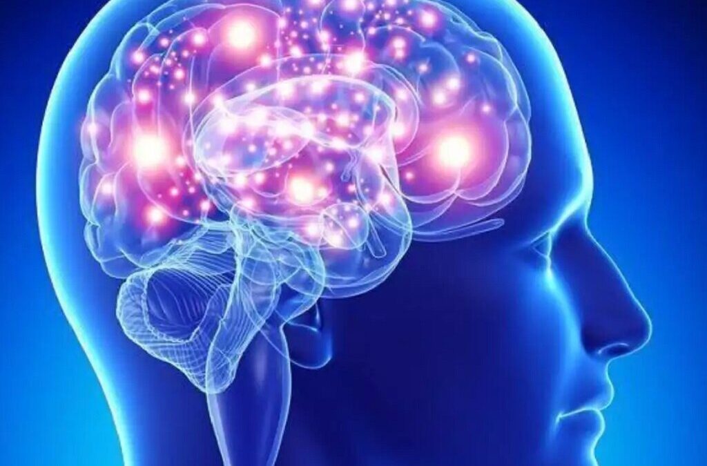 Investigadores querem tratar doenças neurológicas intervindo diretamente no cérebro