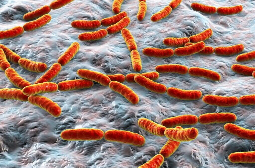 Especialistas alertam para impacto dos antibióticos na microbiota intestinal das crianças