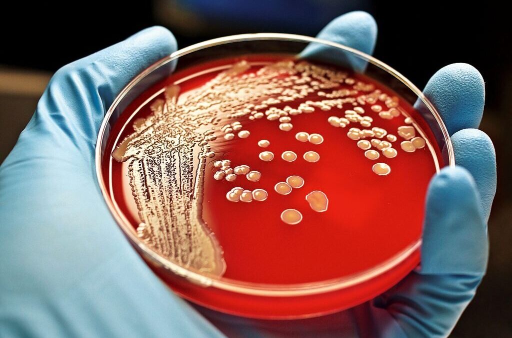 Pfizer promove discussão sobre infeções bacterianas multirresistentes 