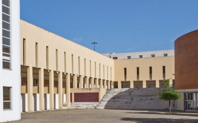Investigação compara resposta à pneumónica e à Covid-19 no Pinhal Interior Sul