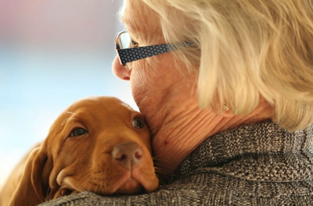 Projeto ajuda idosos a regressarem à vida ativa com a ajuda de cães
