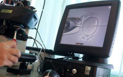 Associação promove sessão dedicada à fertilidade no sábado