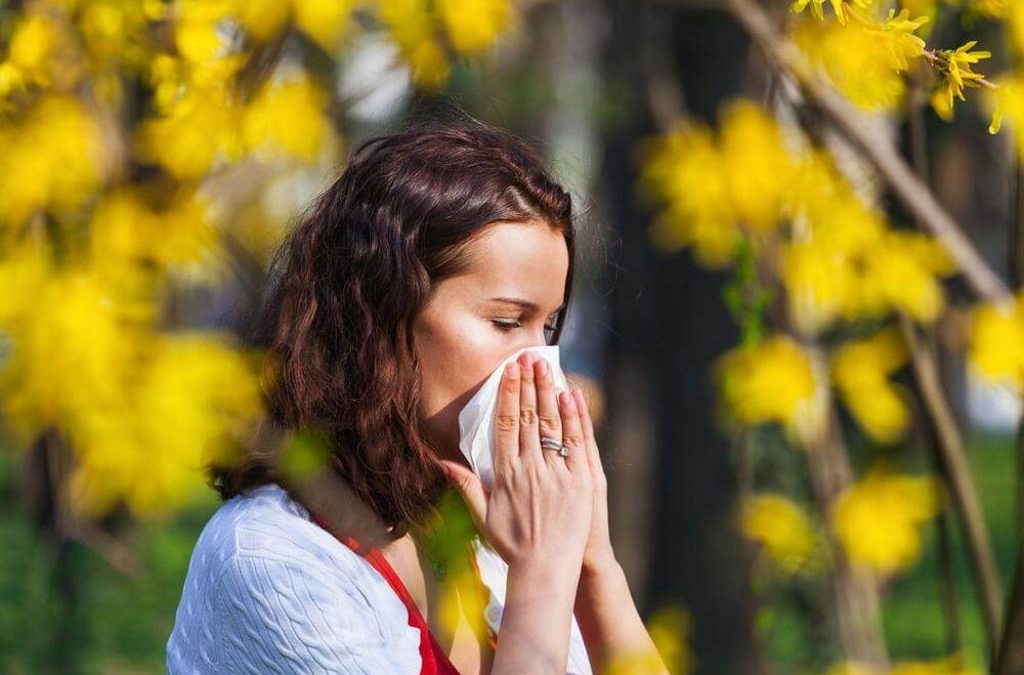 Concentração de pólen até dia 20 com risco moderado a elevado para alérgicos