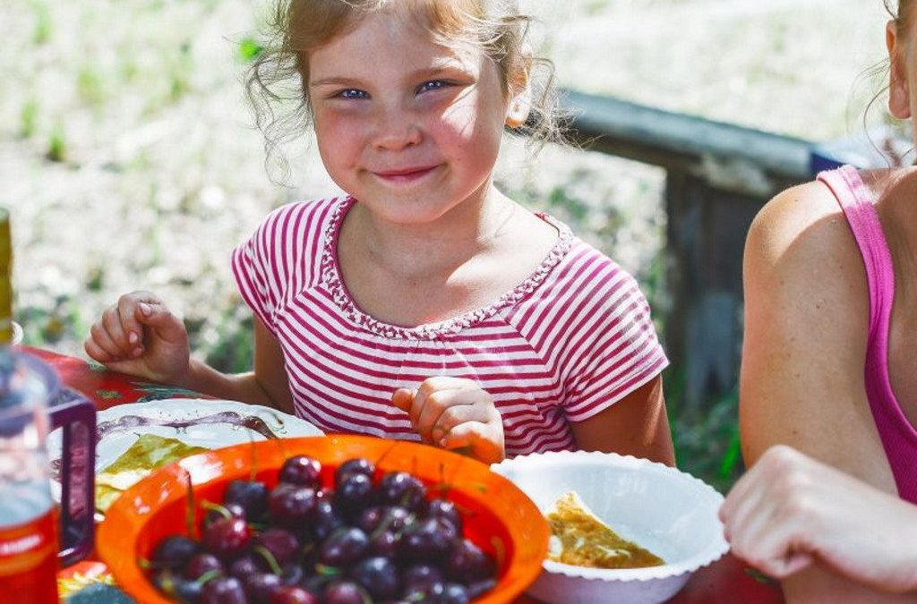 Investigação ensina pais a lidar com problemas alimentares de crianças e jovens