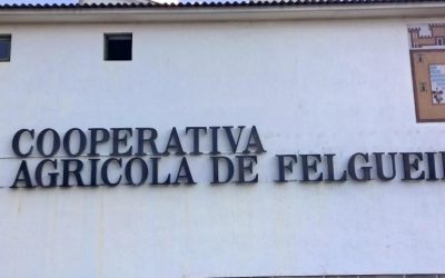 Covid-19: Cooperativa de Felgueiras distribui parte dos lucros por produtores e restaurantes