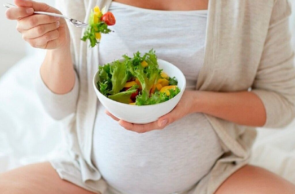 Má nutrição durante a gravidez pode potenciar doenças cardíacas nos filhos