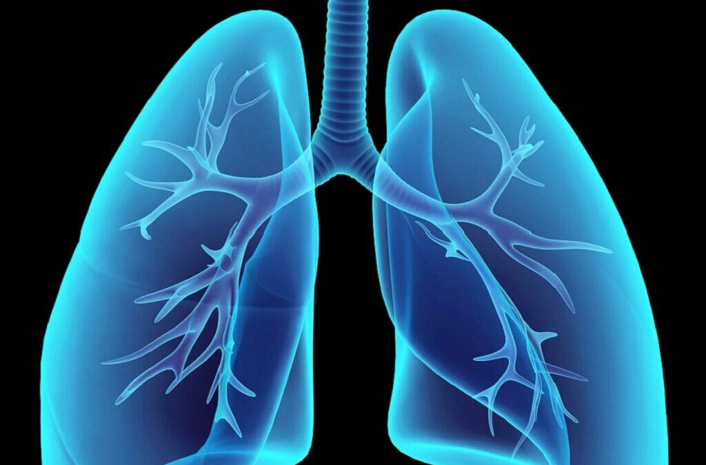 Sociedade Portuguesa de Pneumologia apela ao diagnóstico precoce da fibrose pulmonar