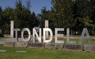 Presidente e vice-presidente da Câmara de Tondela testaram positivo à Covid-19
