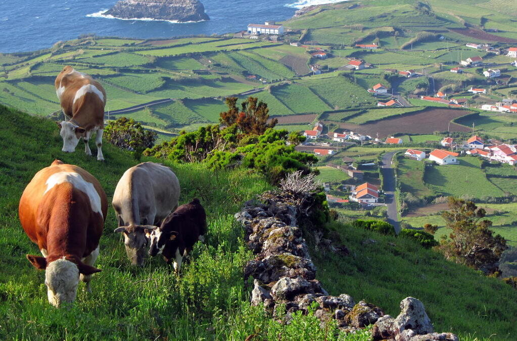 Ilha de São Miguel responsável por todos os casos registados nos Açores