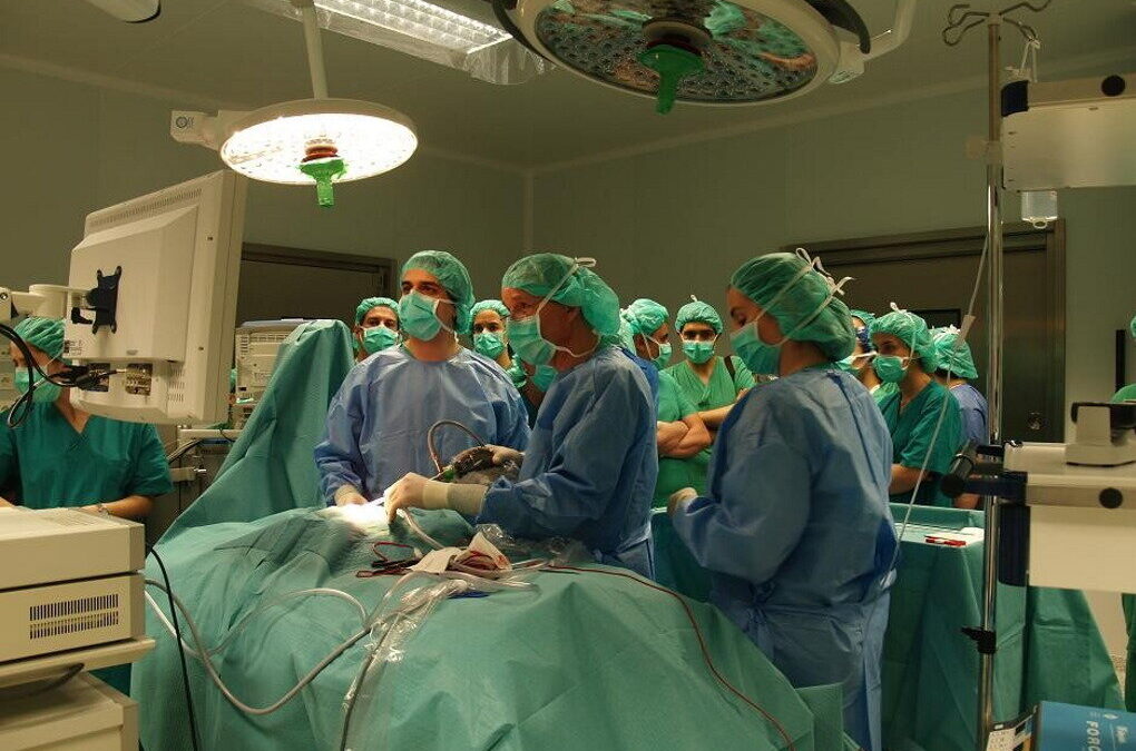 Assistentes operacionais do bloco operatório do Hospital de Braga em greve dois dias