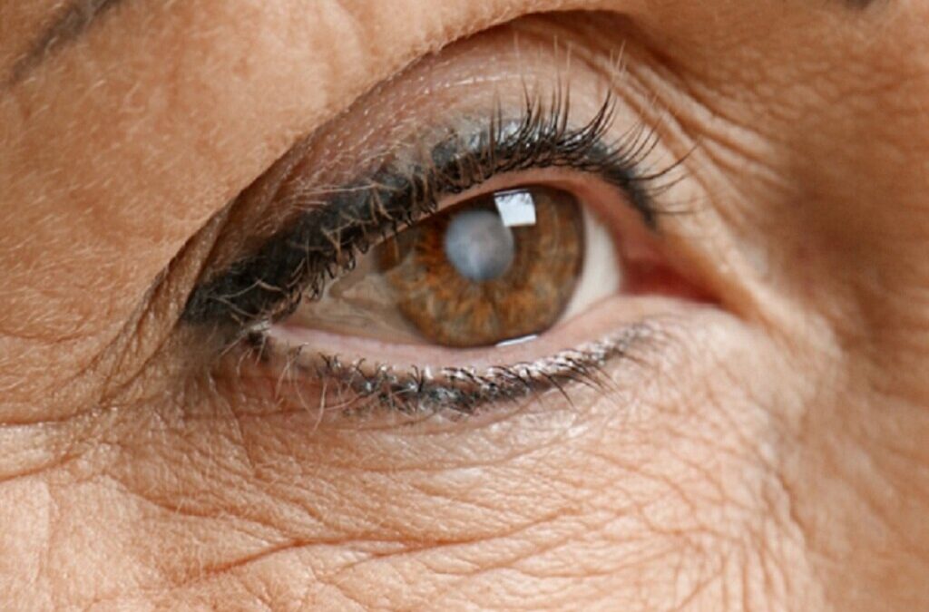 Sociedade Portuguesa de Oftalmologia alerta para causas da cegueira evitável
