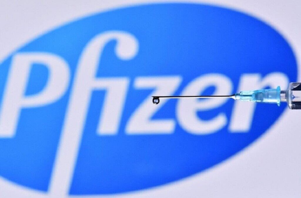 Prestes a terminar prazo para candidaturas às bolsas de investigação da Pfizer