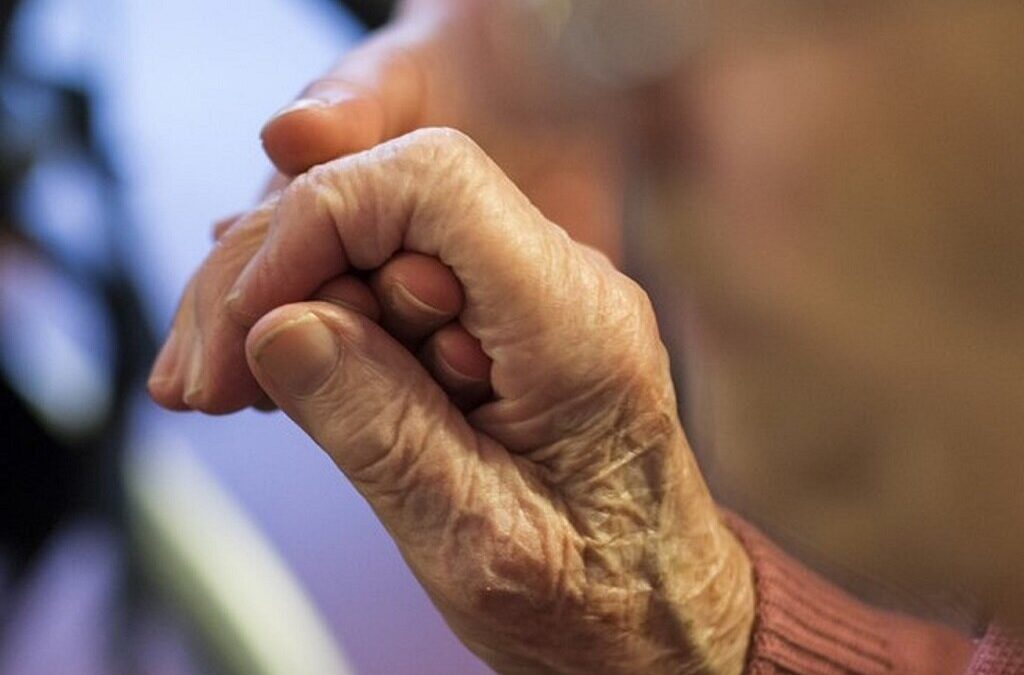 Nova associação quer dar formação em geriatria a médicos que acompanham idosos nos lares