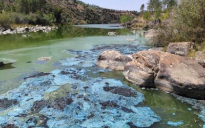 Agência Portuguesa do Ambiente fiscaliza água do Ocreza em Proença-a-Nova