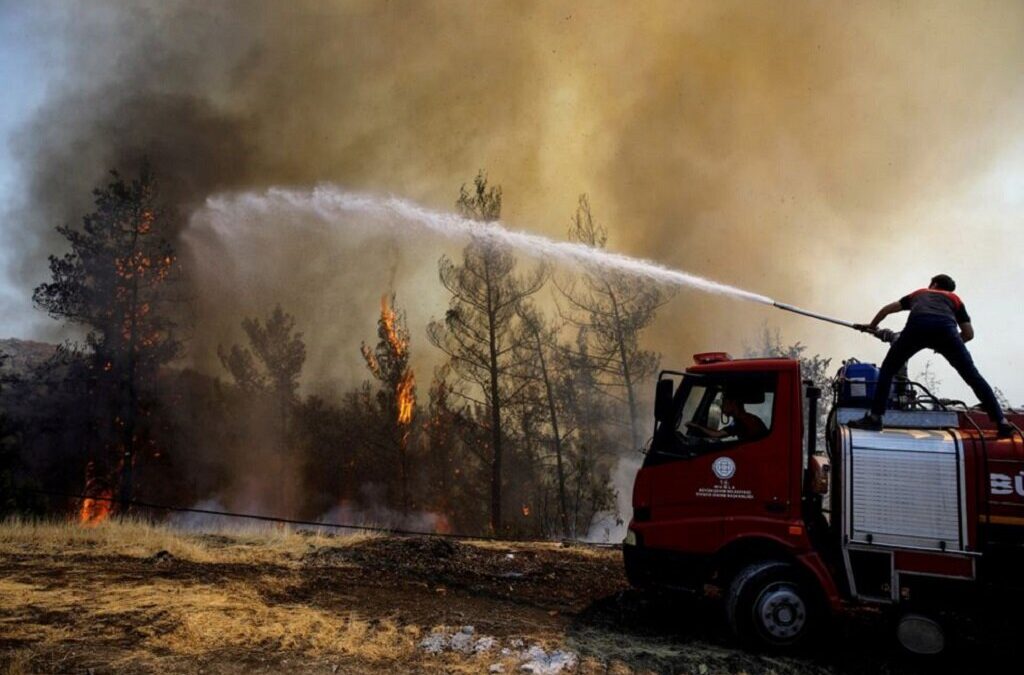 GNR detém quatro pessoas por suspeita de incêndio florestal na última semana