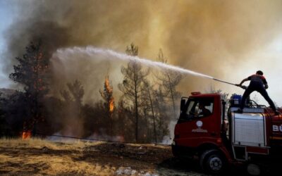GNR detém quatro pessoas por suspeita de incêndio florestal na última semana