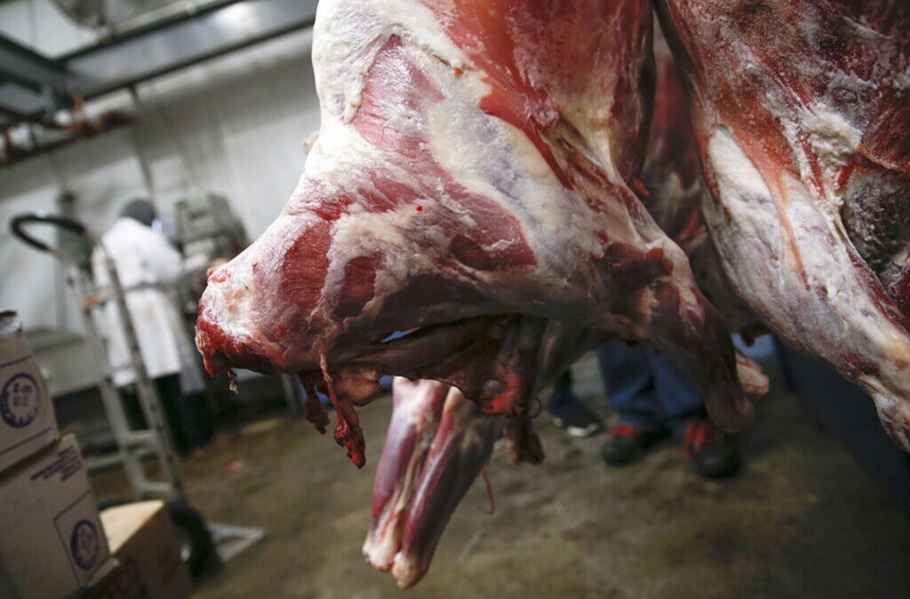 Produtores de carne britânicos querem contratar presos por não terem pessoal