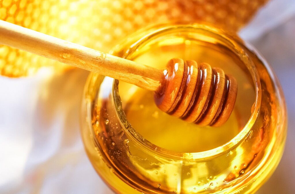 Setor do mel “imune” à pandemia e espera recuperar dos maus anos apícolas