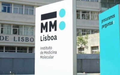 Nova imunoterapia com origem portuguesa está a ser testada nos EUA