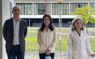 Projeto que quer produzir células CAR T de forma acessível distinguido com bolsa de 15 mil euros