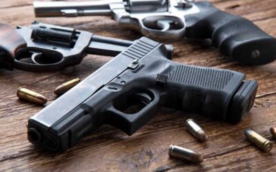 PSP estima que existam menos armas de fogo em casa e novas licenças diminuem todos os anos