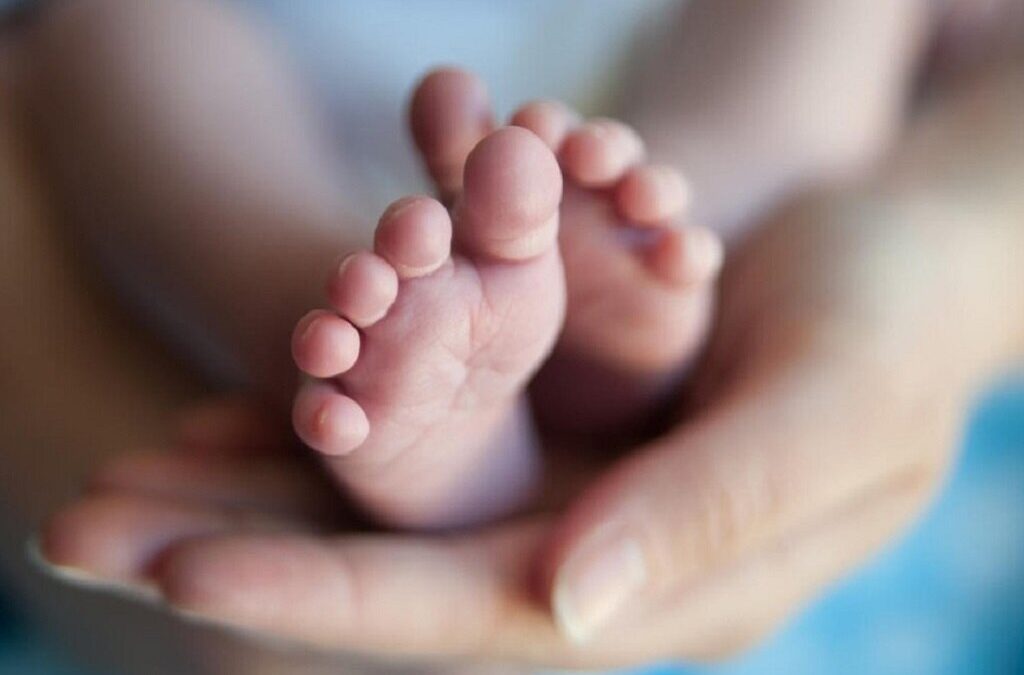 Governo espera lançar concurso da nova maternidade de Coimbra no início de 2024