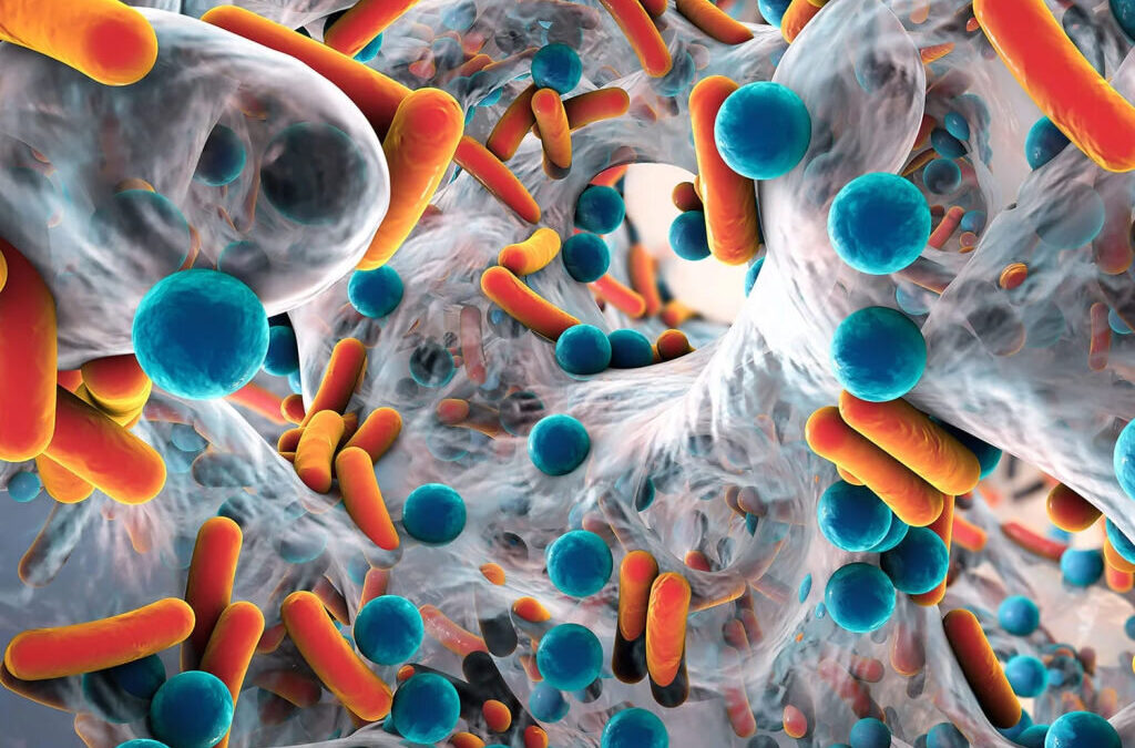 Bactérias resistentes a antibióticos encontradas nas nuvens