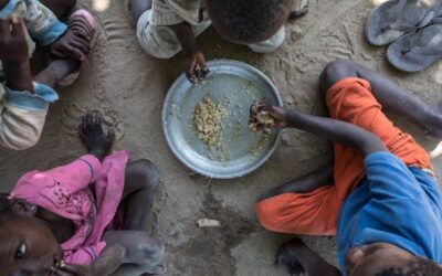 População recorre a farelo e frutos silvestres face à fome em Moçambique