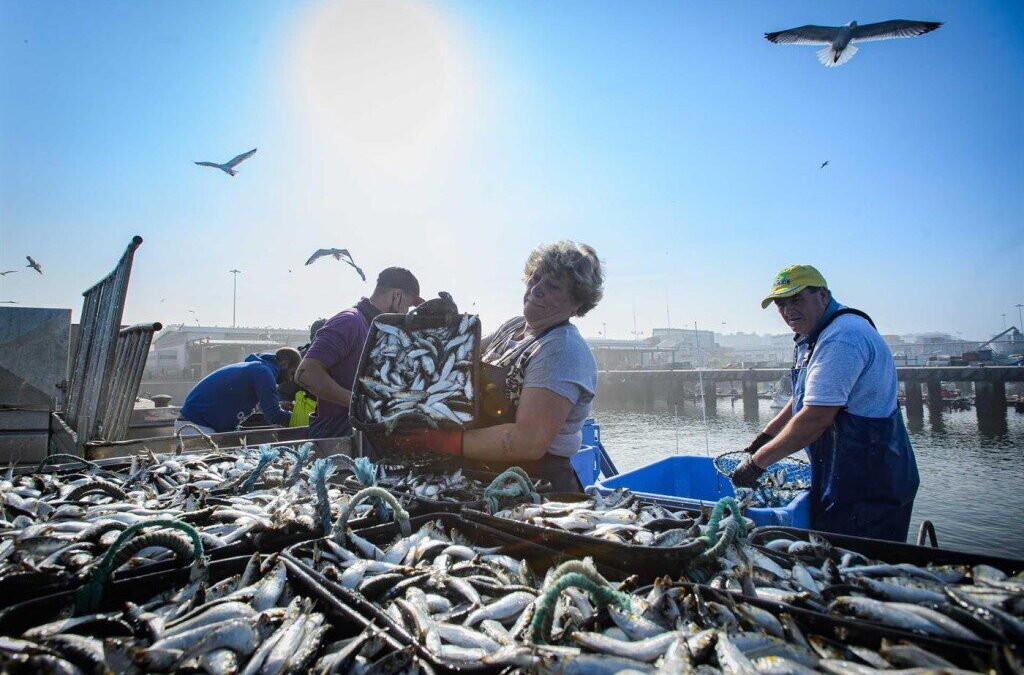 Pescadores alertam que subida dos combustíveis deixa atividade “insustentável”