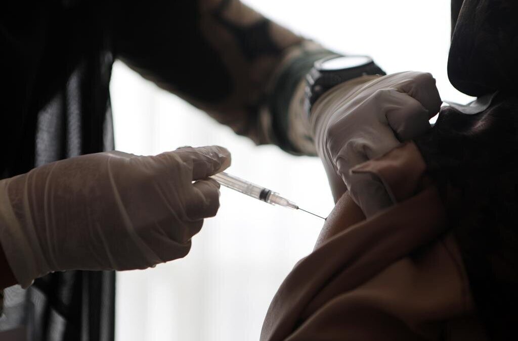 Vacinação completa mantém-se nos 85% com mais de 8,8 milhões imunizados