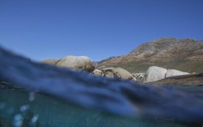 Sobrevivente de naufrágio na Figueira da Foz com evolução favorável