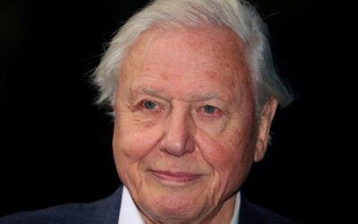 David Attenborough apela a líderes para trabalharem juntos e salvarem o planeta