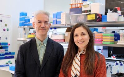 Fármaco para tratamento da epilepsia promissor na doença de Machado-Joseph
