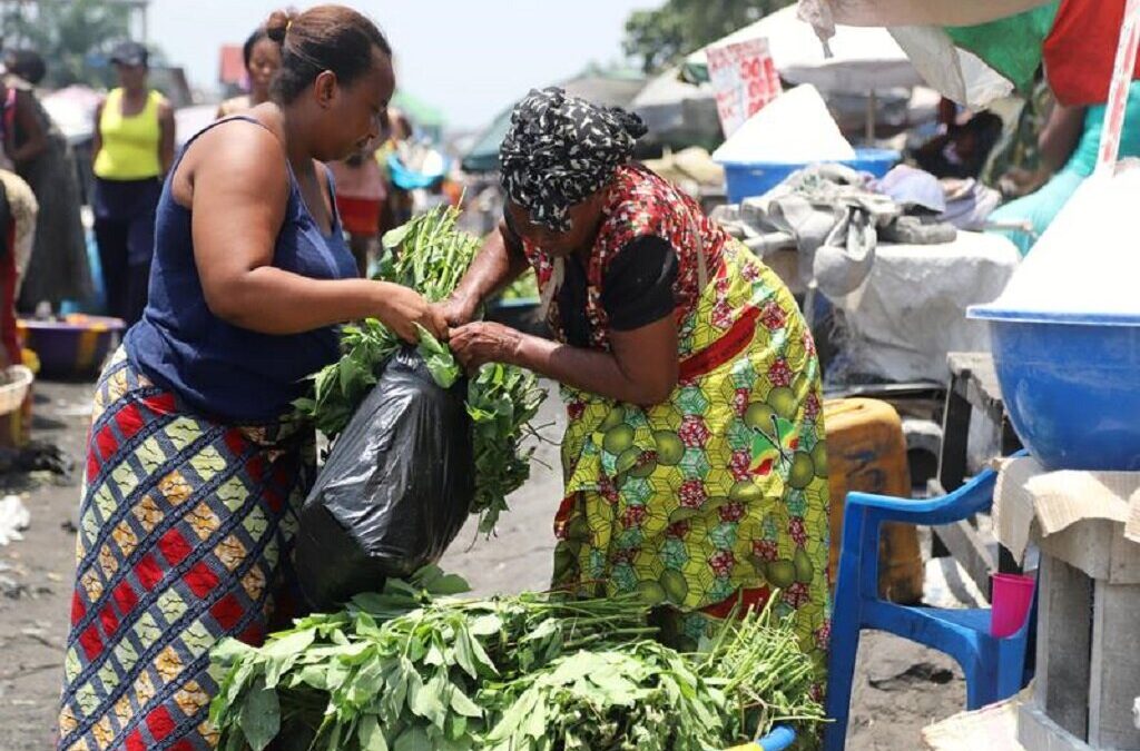 FAO alerta que crise alimentar na RDCongo vai agravar-se sem reforço da ajuda