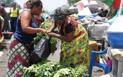 FAO alerta que crise alimentar na RDCongo vai agravar-se sem reforço da ajuda