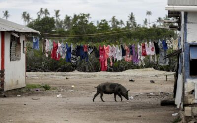 Tonga ordena primeiro confinamento desde o início da pandemia