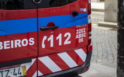 Um ferido grave e cinco ligeiros devido a colisão na EN259 em Ferreira do Alentejo