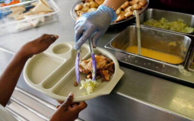 ASAE vai verificar alimentação dos alunos do concelho de Coimbra