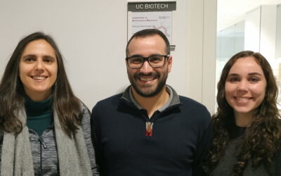 Investigadores da UC descobrem como bactéria da febre da carraça escapa ao sistema imunitário