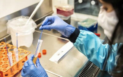 Regulador britânico autoriza novo medicamento da GlaxoSmithKline