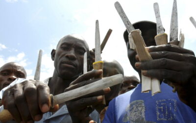 Pelo menos 23 jovens morrem após rituais de circuncisão na África do Sul